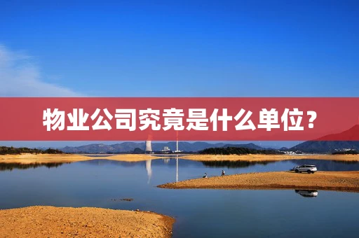 物业公司究竟是什么单位？