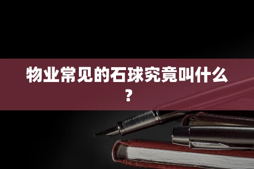 物业常见的石球究竟叫什么？