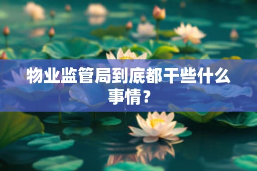 物业监管局到底都干些什么事情？