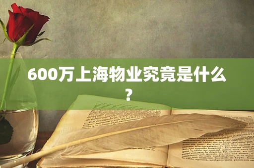 600万上海物业究竟是什么？