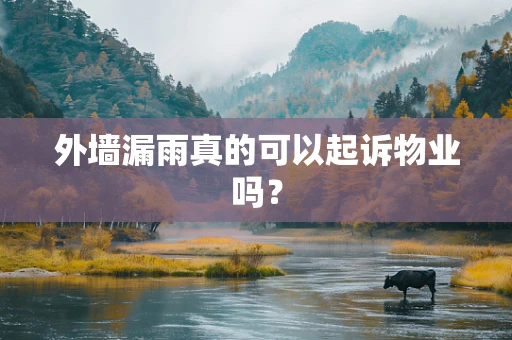 外墙漏雨真的可以起诉物业吗？