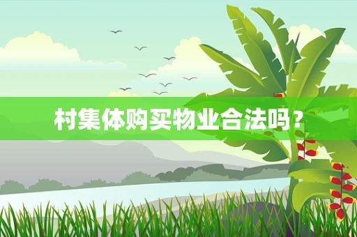 村集体购买物业合法吗？