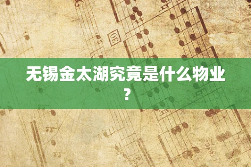 无锡金太湖究竟是什么物业？