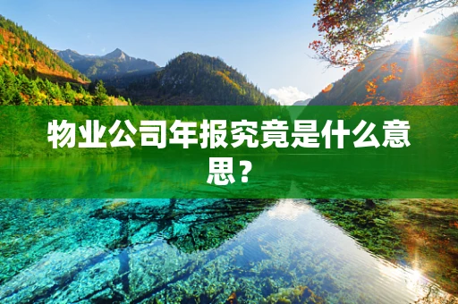 物业公司年报究竟是什么意思？