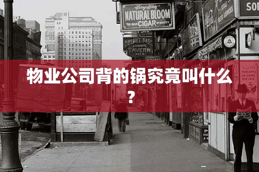 物业公司背的锅究竟叫什么？