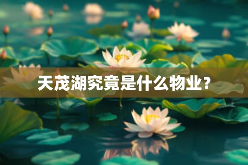 天茂湖究竟是什么物业？