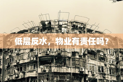 低层反水，物业有责任吗？