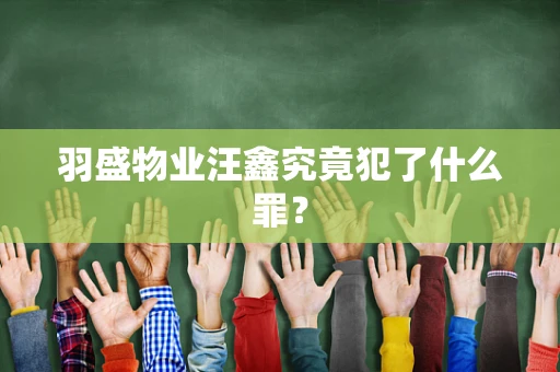 羽盛物业汪鑫究竟犯了什么罪？