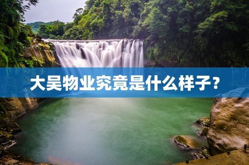 大吴物业究竟是什么样子？