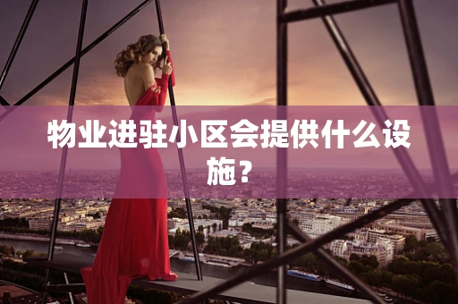 物业进驻小区会提供什么设施？