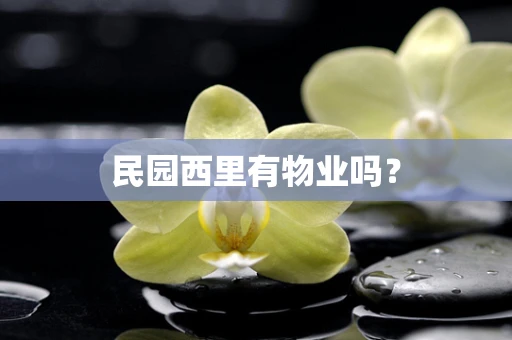 民园西里有物业吗？