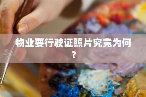 物业要行驶证照片究竟为何？