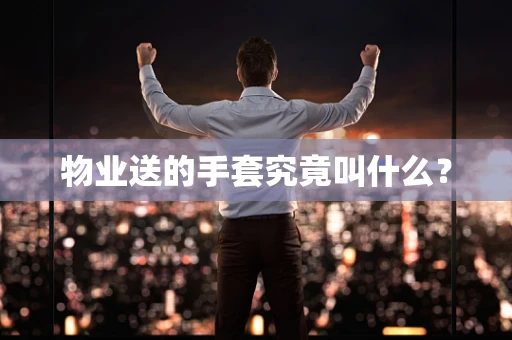 物业送的手套究竟叫什么？