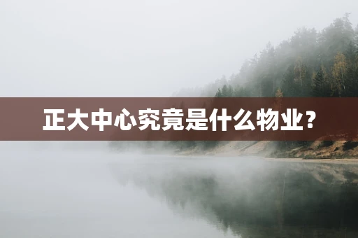 正大中心究竟是什么物业？