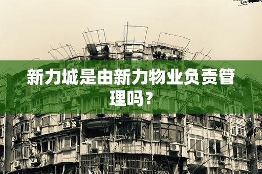 新力城是由新力物业负责管理吗？