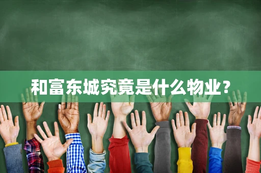 和富东城究竟是什么物业？