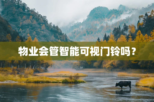 物业会管智能可视门铃吗？