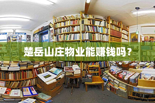 楚岳山庄物业能赚钱吗？