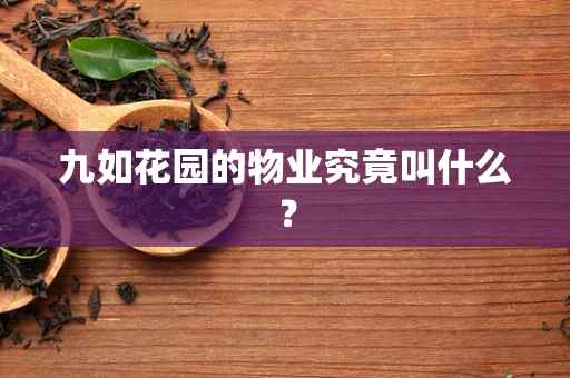 九如花园的物业究竟叫什么？