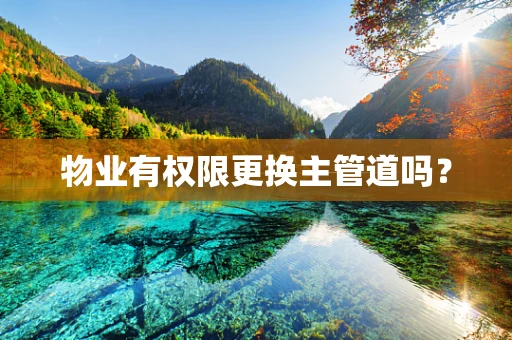 物业有权限更换主管道吗？