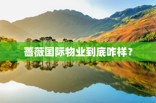 蔷薇国际物业到底咋样？