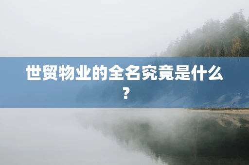 世贸物业的全名究竟是什么？
