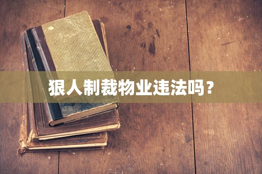 狠人制裁物业违法吗？
