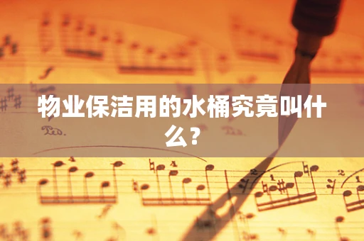 物业保洁用的水桶究竟叫什么？