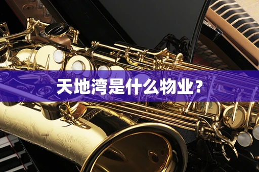 天地湾是什么物业？