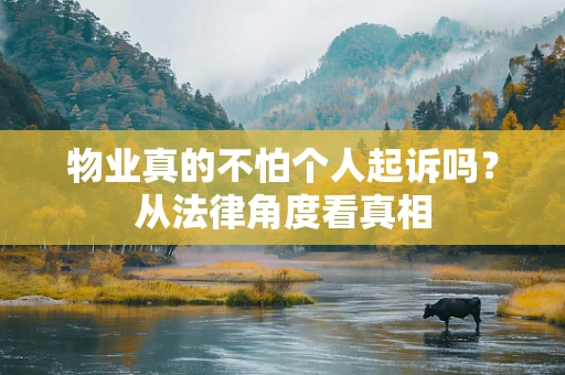 物业真的不怕个人起诉吗？从法律角度看真相
