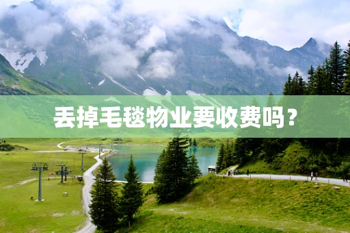 丢掉毛毯物业要收费吗？