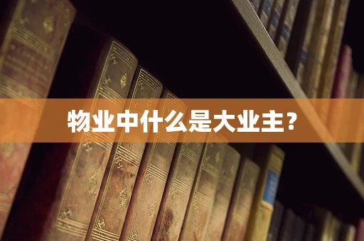 物业中什么是大业主？