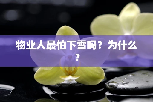 物业人最怕下雪吗？为什么？