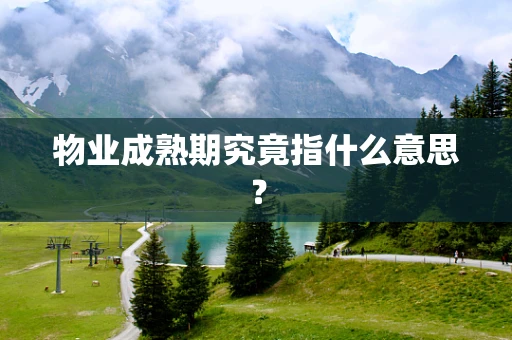 物业成熟期究竟指什么意思？