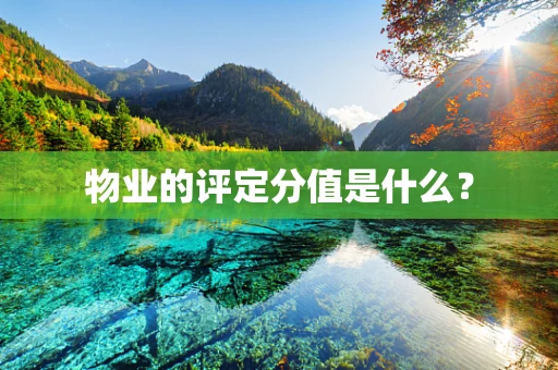 物业的评定分值是什么？