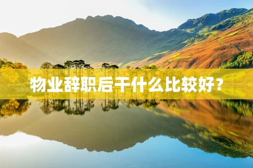 物业辞职后干什么比较好？