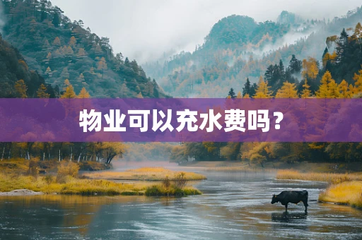物业可以充水费吗？