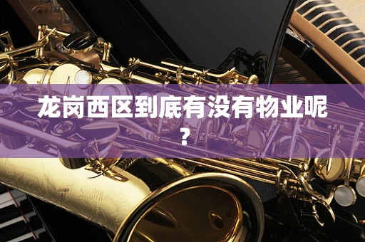 龙岗西区到底有没有物业呢？