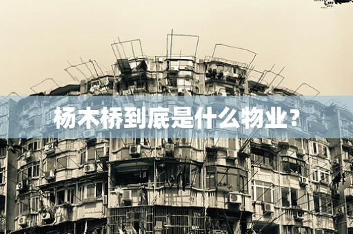 杨木桥到底是什么物业？
