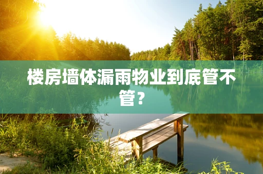 楼房墙体漏雨物业到底管不管？