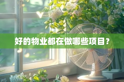 好的物业都在做哪些项目？