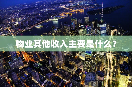 物业其他收入主要是什么？