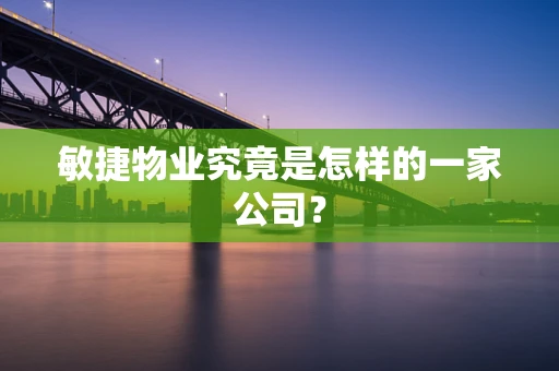 敏捷物业究竟是怎样的一家公司？