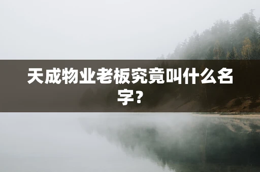 天成物业老板究竟叫什么名字？