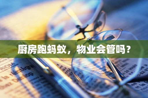 厨房跑蚂蚁，物业会管吗？