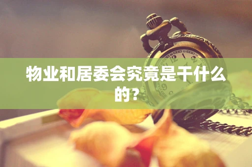 物业和居委会究竟是干什么的？