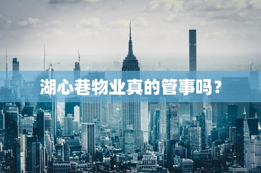 湖心巷物业真的管事吗？