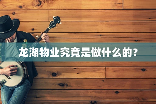 龙湖物业究竟是做什么的？