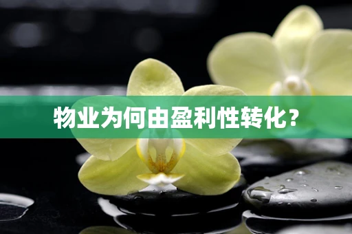 物业为何由盈利性转化？