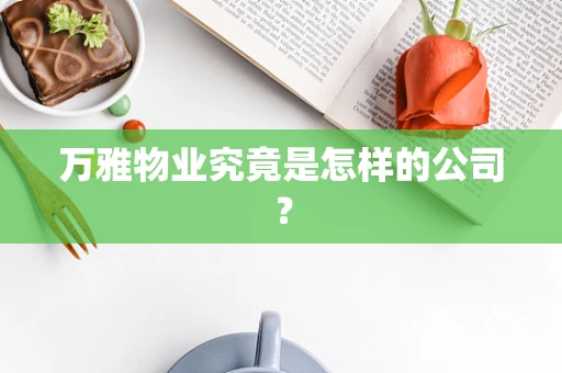 万雅物业究竟是怎样的公司？